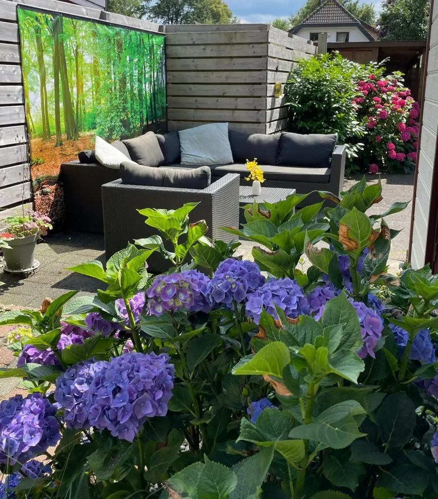 Tiny House met tuin en fietsen, Putten